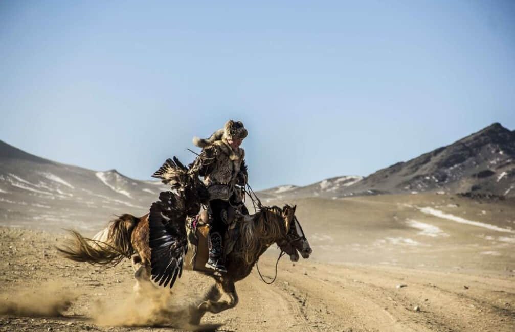 A mounted eagle hunter gallops across a barren Mongolian landscape