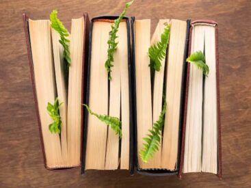 Top view of books with plants